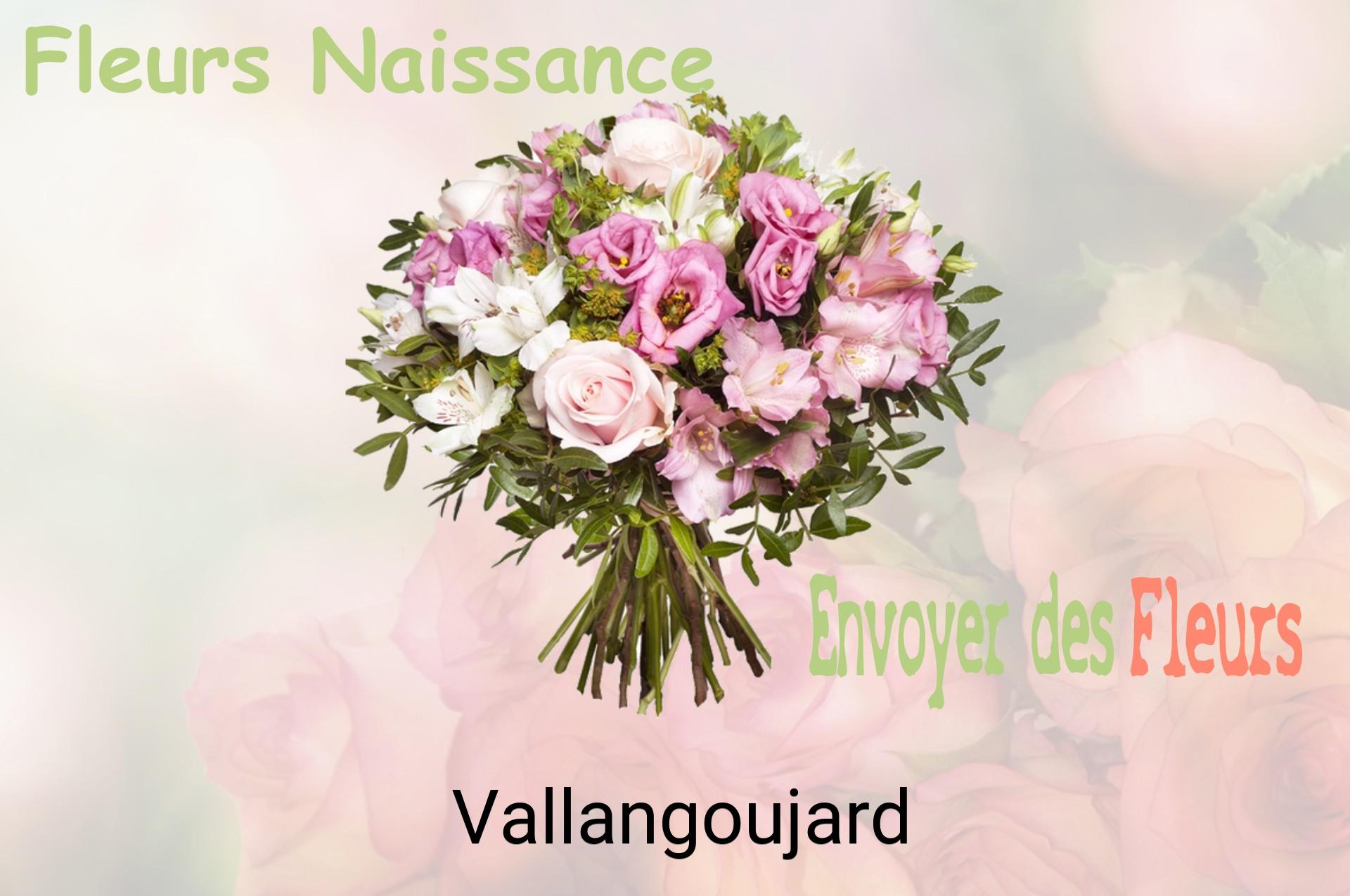 Bouquet de fleurs de naissance livré à Vallangoujard